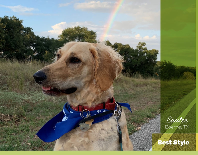 Calendar-contest-winner-August