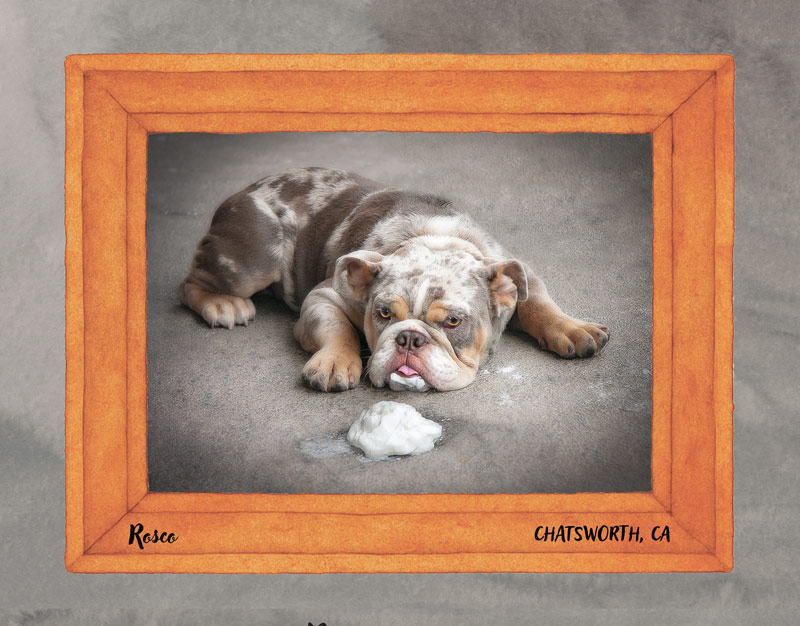 Calendar-contest-winner-November