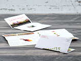 Right Angle Letter Fold Brochure with a Mailing Panel Thumbnail
